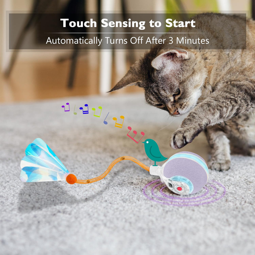 YVE LIFE USB-C charging keeps the ball ready for cordless play sessions.