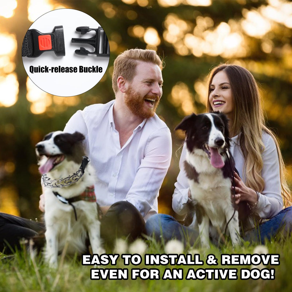 Yvnicll pinch collar ready for everyday dog-walking routines