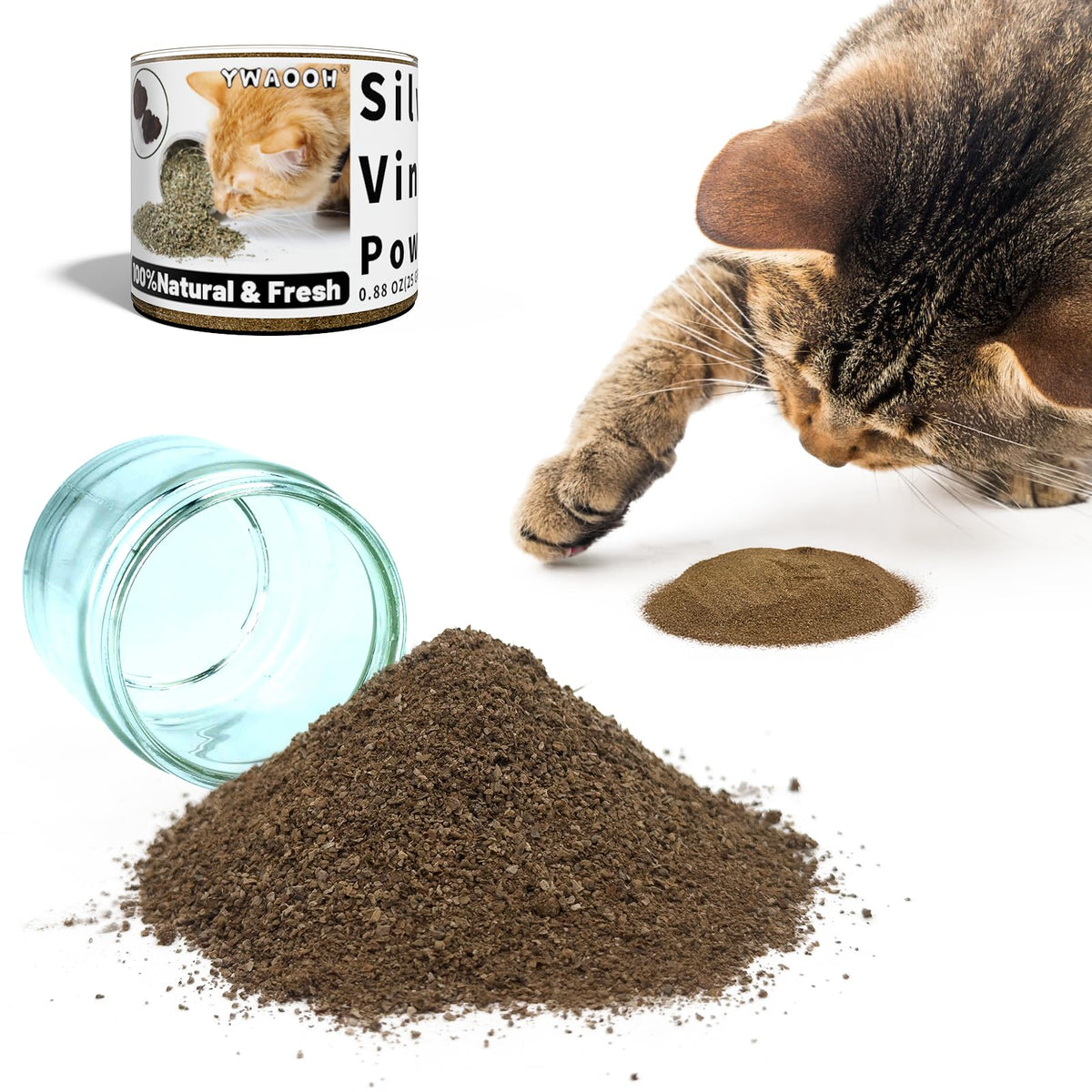 YWAOOH silvervine powder jar closeup, natural catnip alternative for engaged cats.