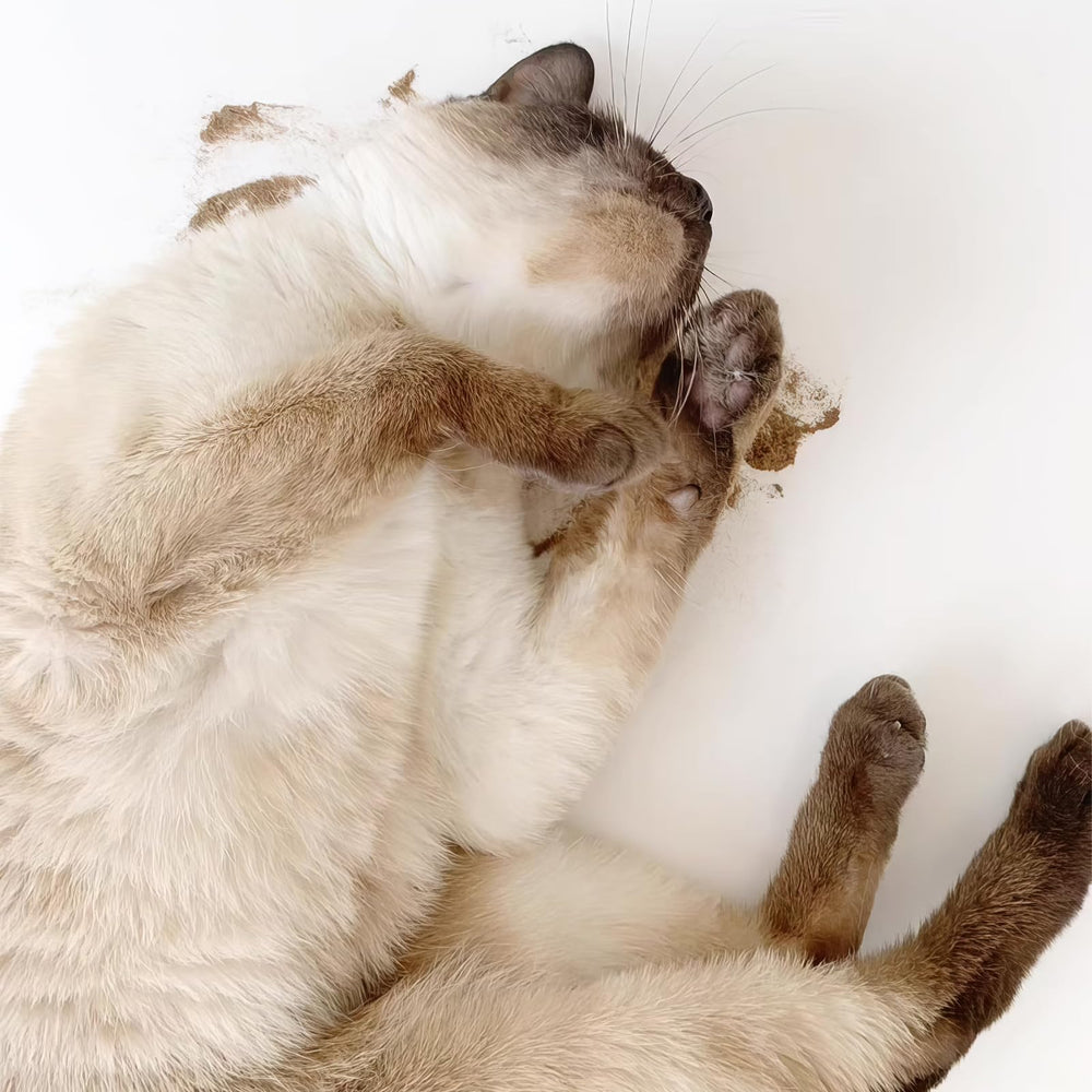 YWAOOH measuring spoon showing precise portions for consistent play.