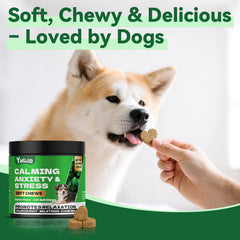 YWUJID Calming Chews relaxed dog face signaling stress relief during storms