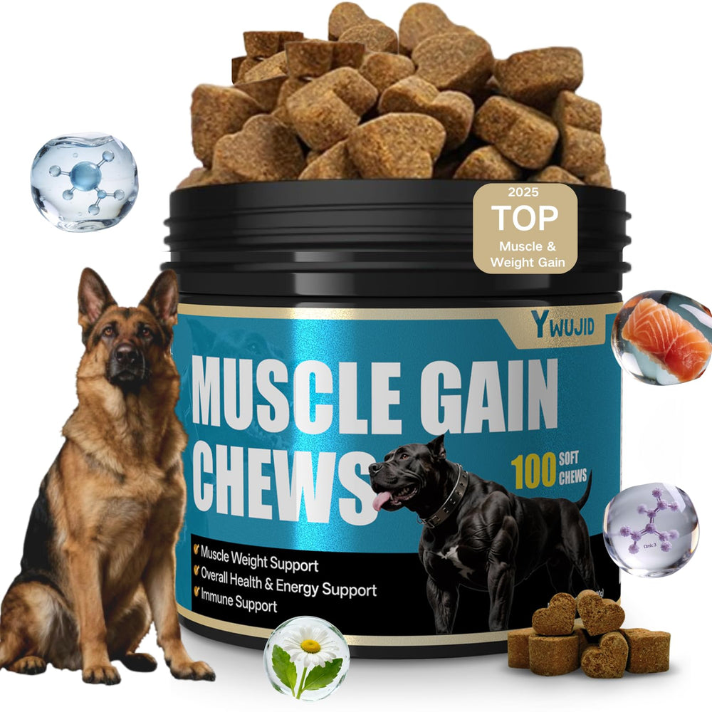 YWUJID dog muscle gain all-ages concept shows puppies to seniors applicability