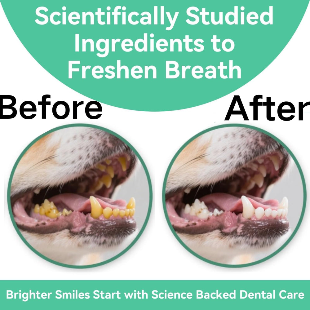 YWUJID dental powder freshening dog breath during daily routine.
