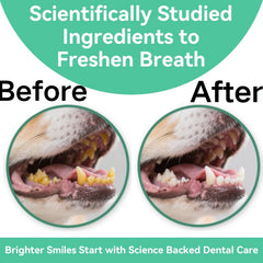 YWUJID dental powder freshening dog breath during daily routine.