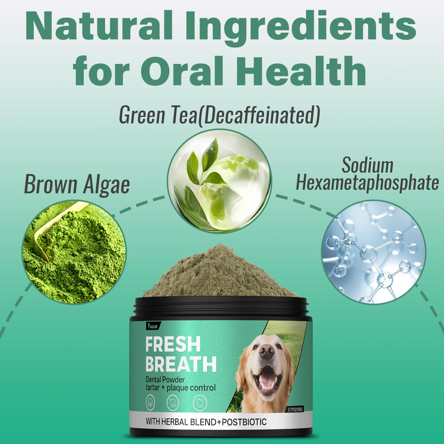 YWUJID formula with probiotics supports gum health and gentle digestion.