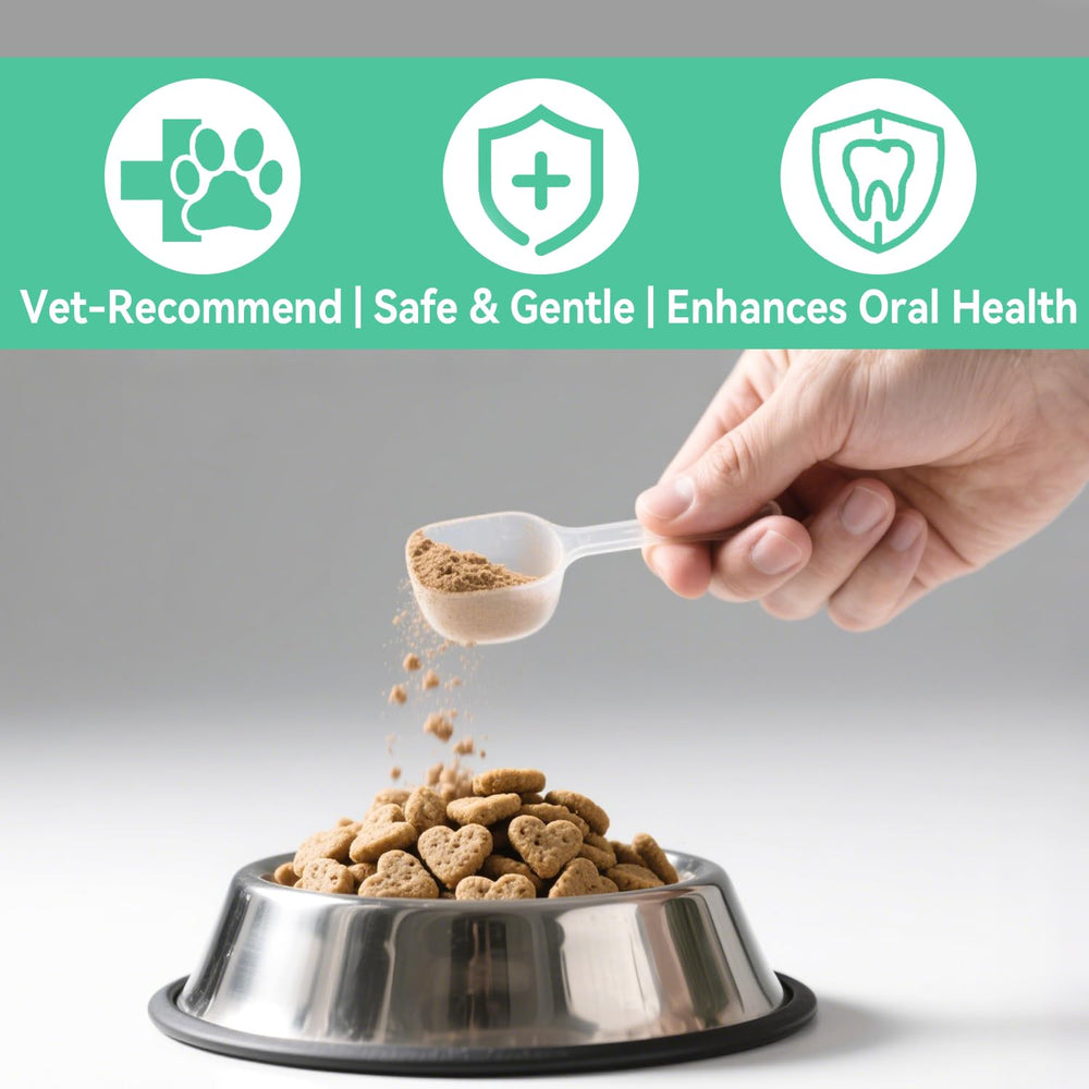 YWUJID tartar removal powder helps reduce buildup over time.