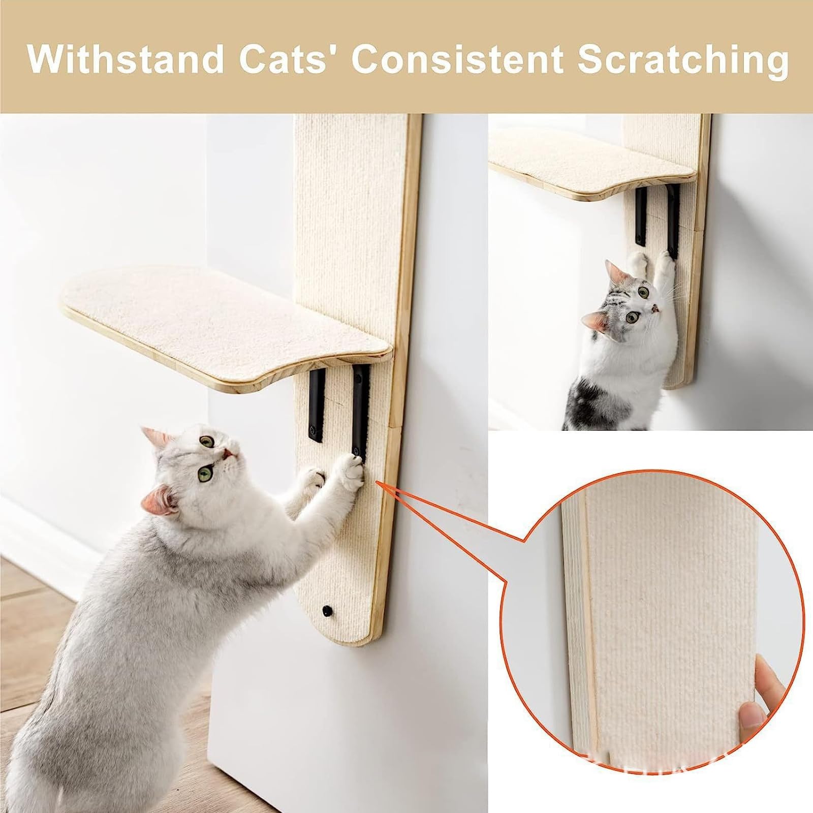 Ywyhus door-hanging shelf top level with a curious cat