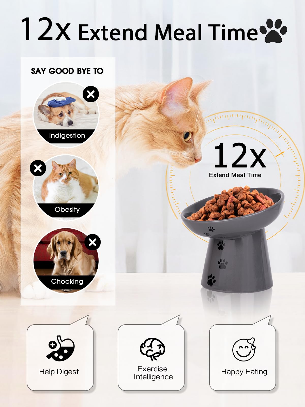 Y YHY elevated cat bowl, 6-inch, side view promoting natural posture