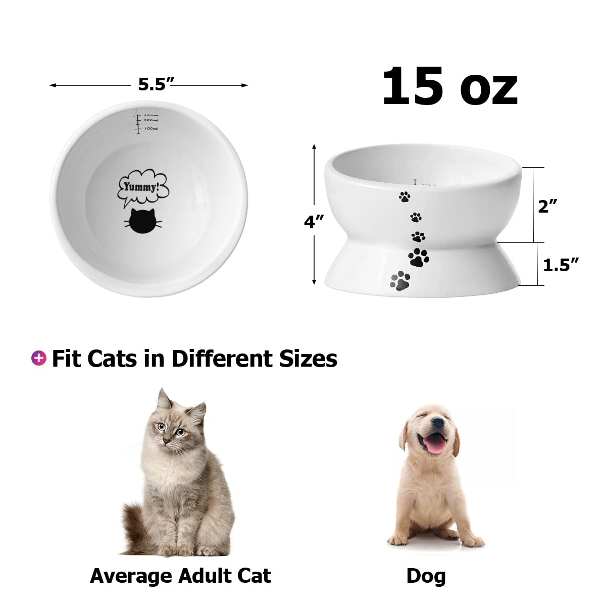 Y YHY elevated cat bowl with measuring marks aids monitoring water intake.