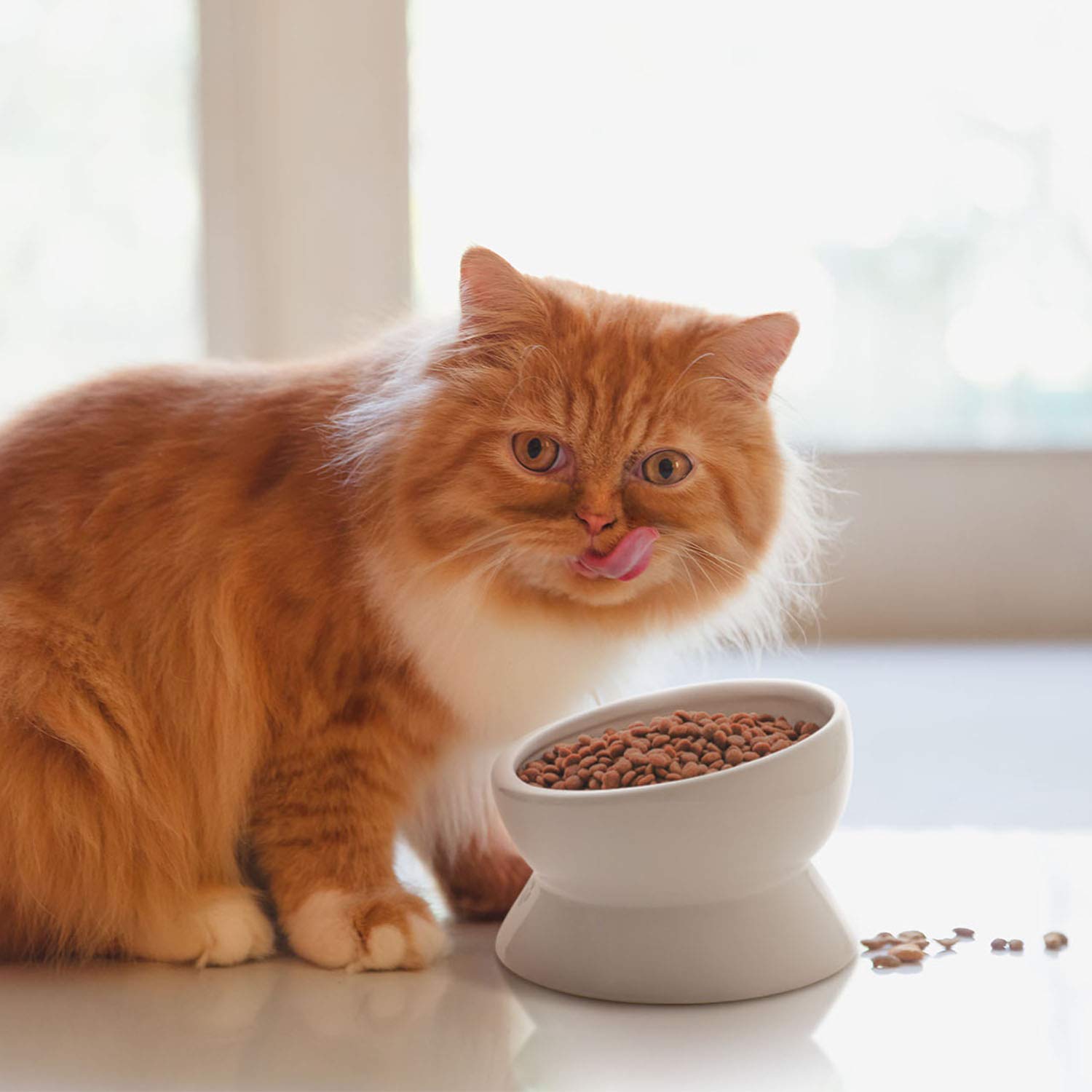 Y YHY elevated cat bowl top view emphasizes compact footprint and spill prevention.