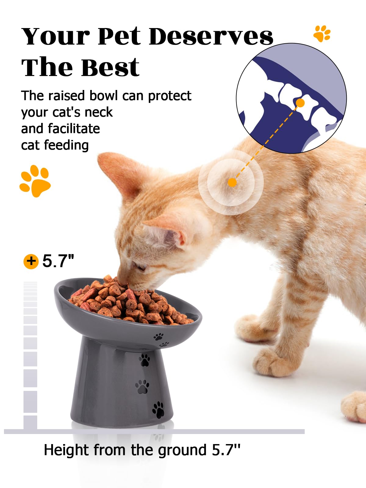 Y YHY shallow bowl reduces whisker contact during meals