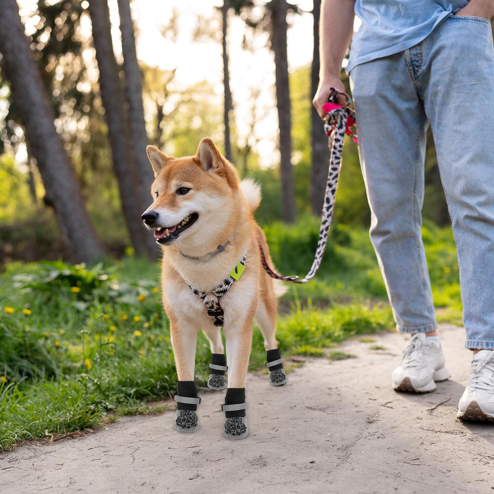Yylaiire dog socks sized to measure paws help ensure a proper fit.