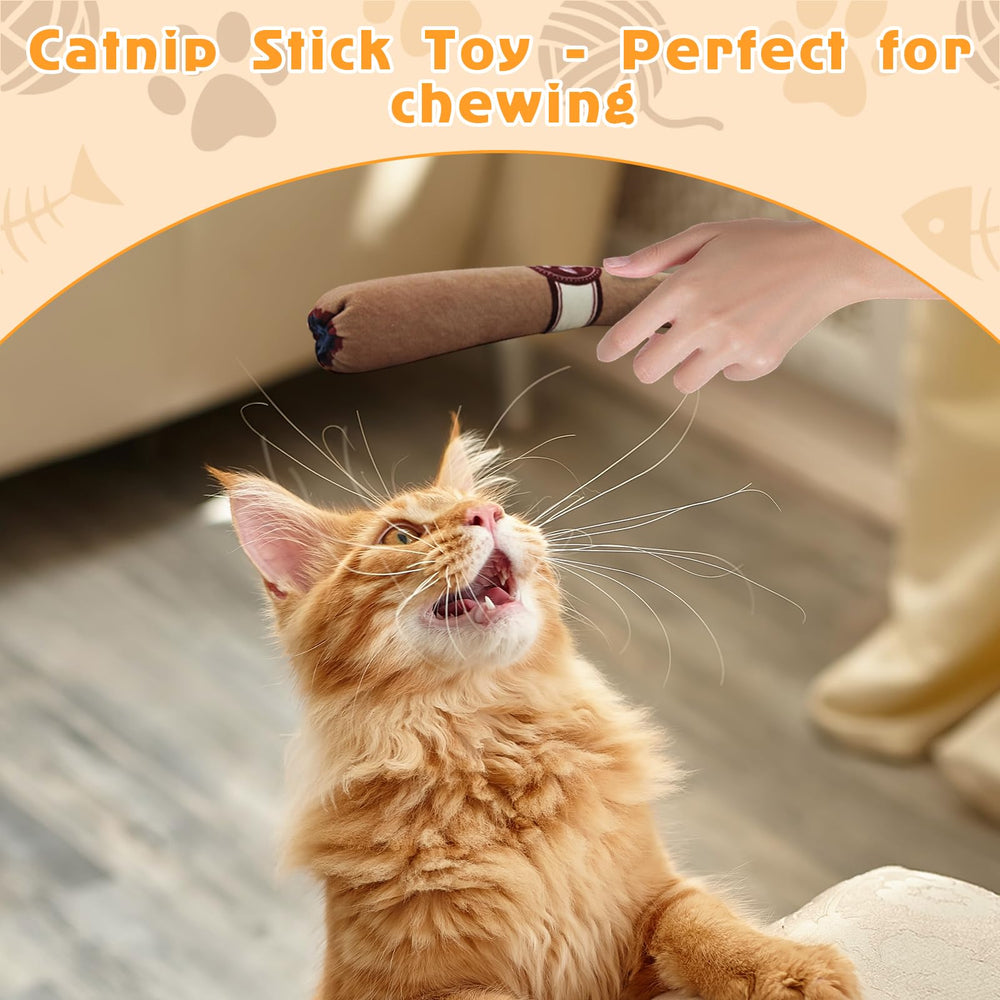 YZHDUXIU kitten-teething benefit scene highlights gentle relief possibilities.