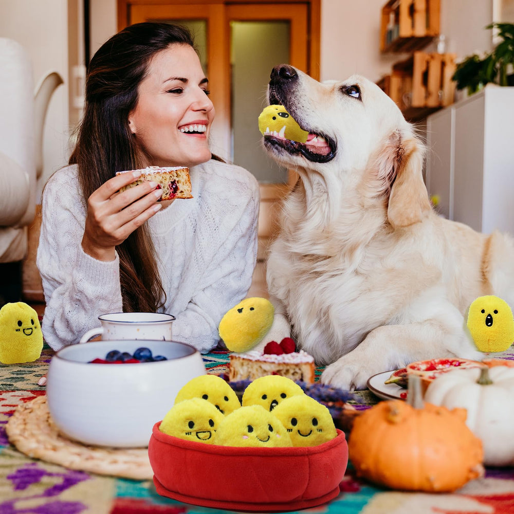 YZHDUXIU safe-material dog toy designed for worry-free play