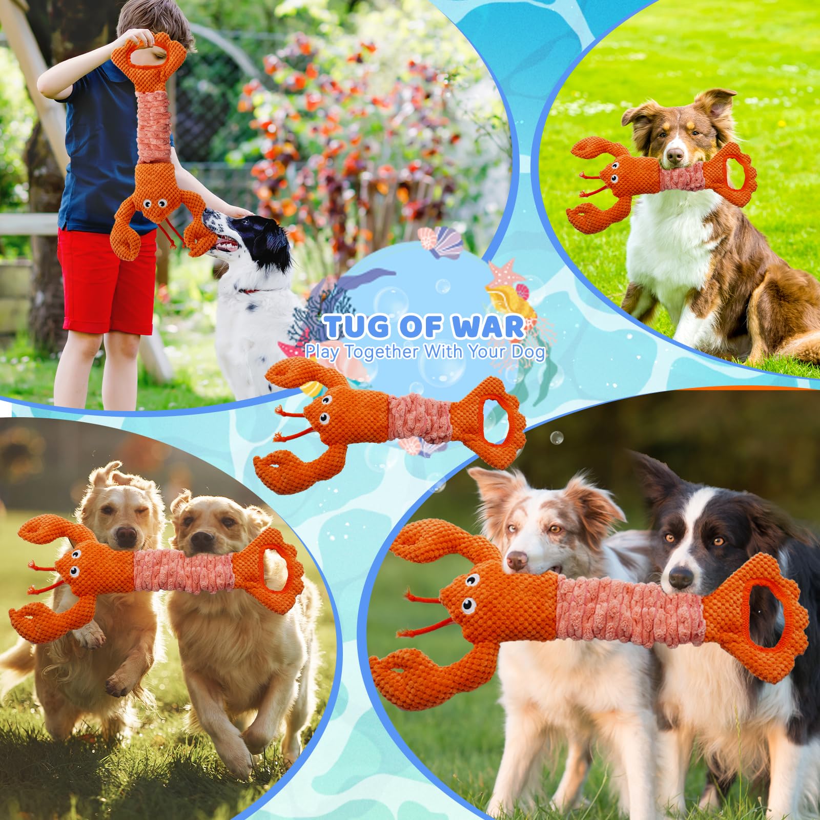 YZHDUXIU Tug of War Lobster — all-ages design fits puppies to seniors.