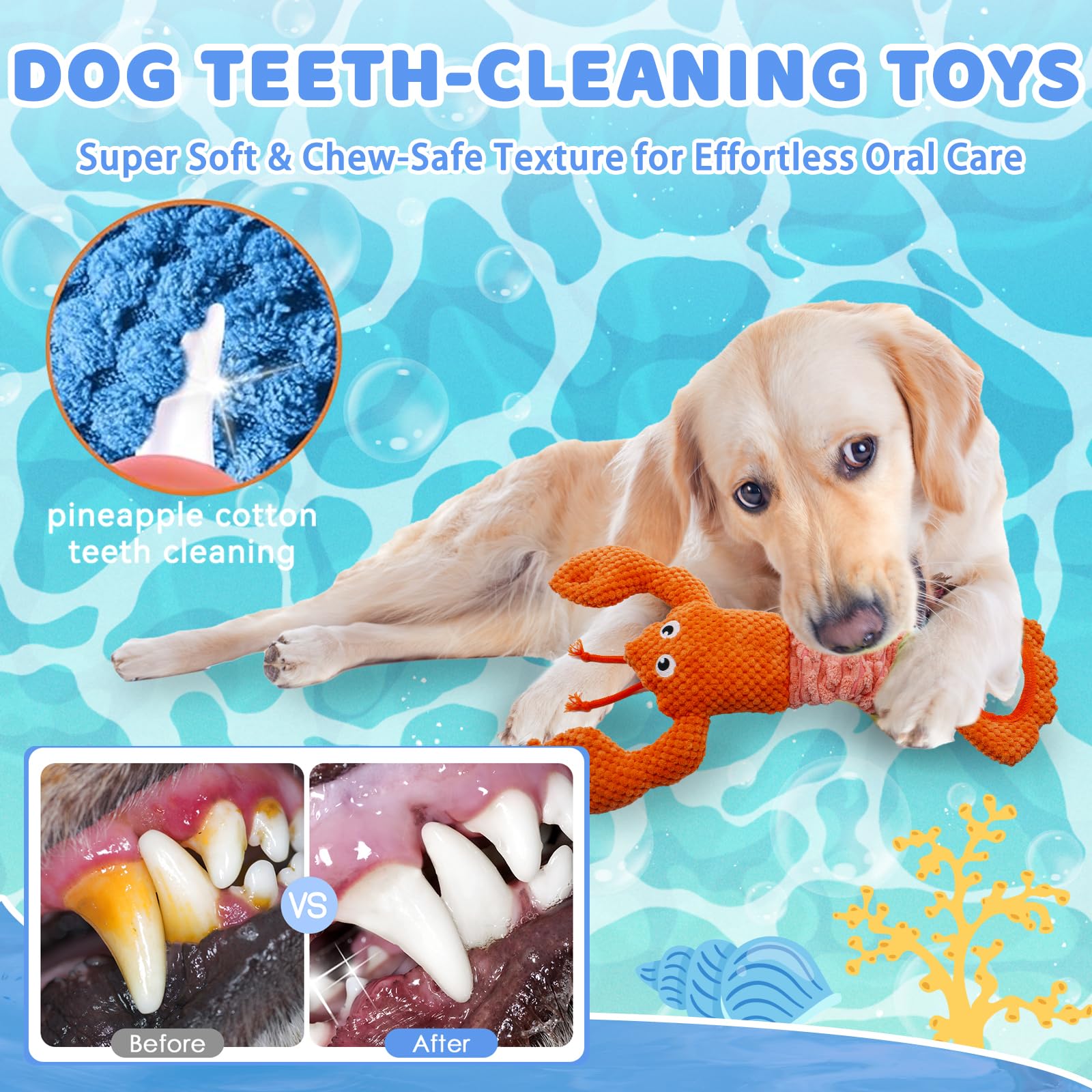 YZHDUXIU Lobster Elastic Band — extendable bounce for tug-of-war.