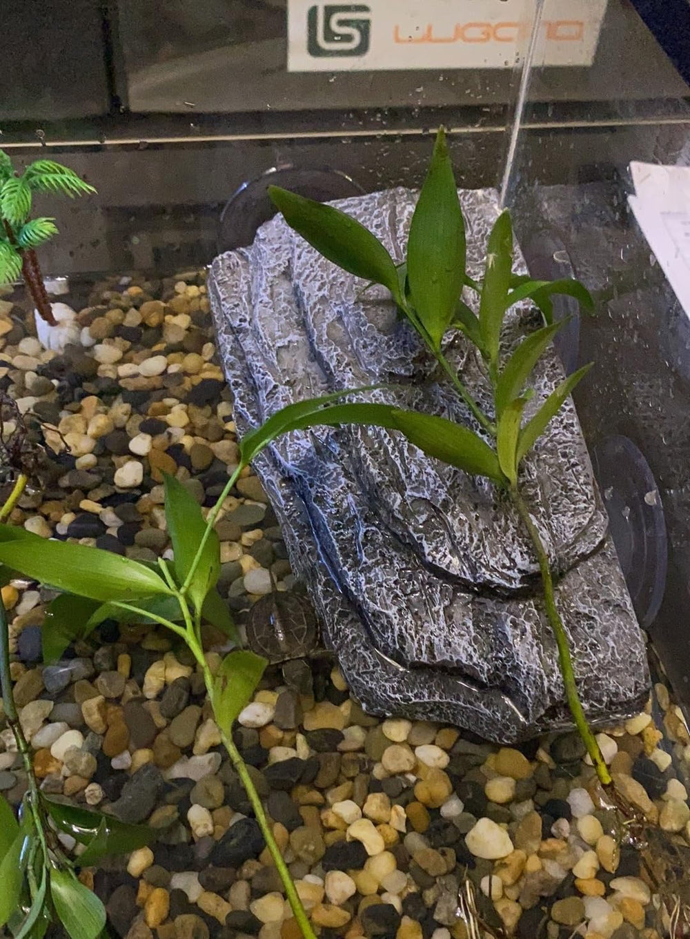 YZHZOM rock-like basking plate highlights natural habitat aesthetics.
