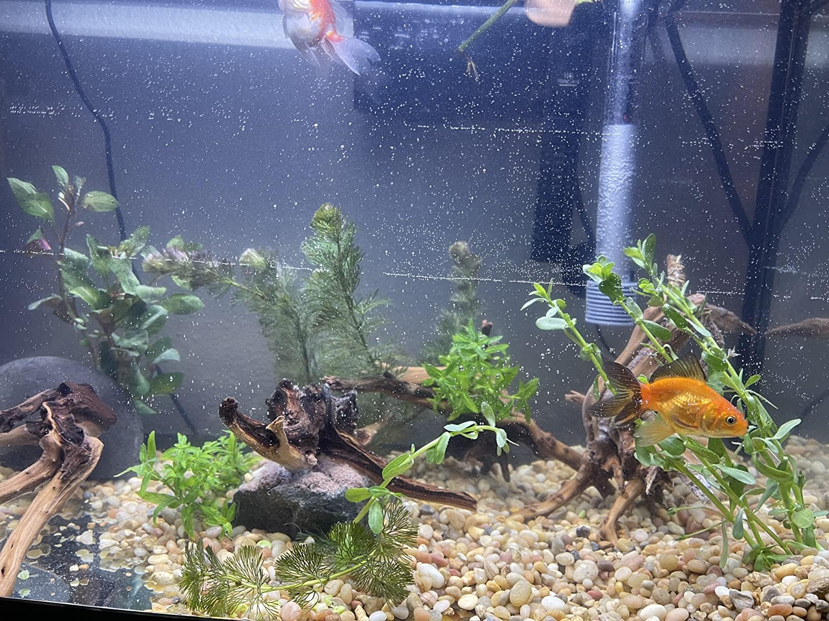 yzhzom-spiderwood-aquarium-habitat-enhancement offers visual interest and potential shelter in tanks.