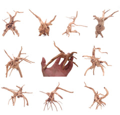 yzhzom-spiderwood-driftwood-aquarium-10pack adds natural structure for a more engaging tank habitat.
