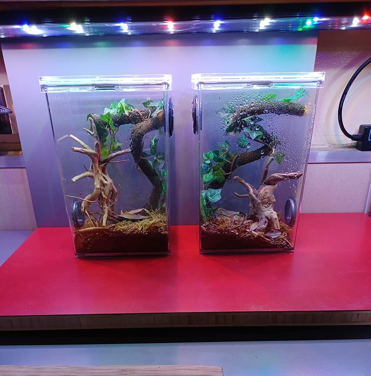 yzhzom-spiderwood-tabletop-garden-decor brings rustic charm to tables and garden displays.