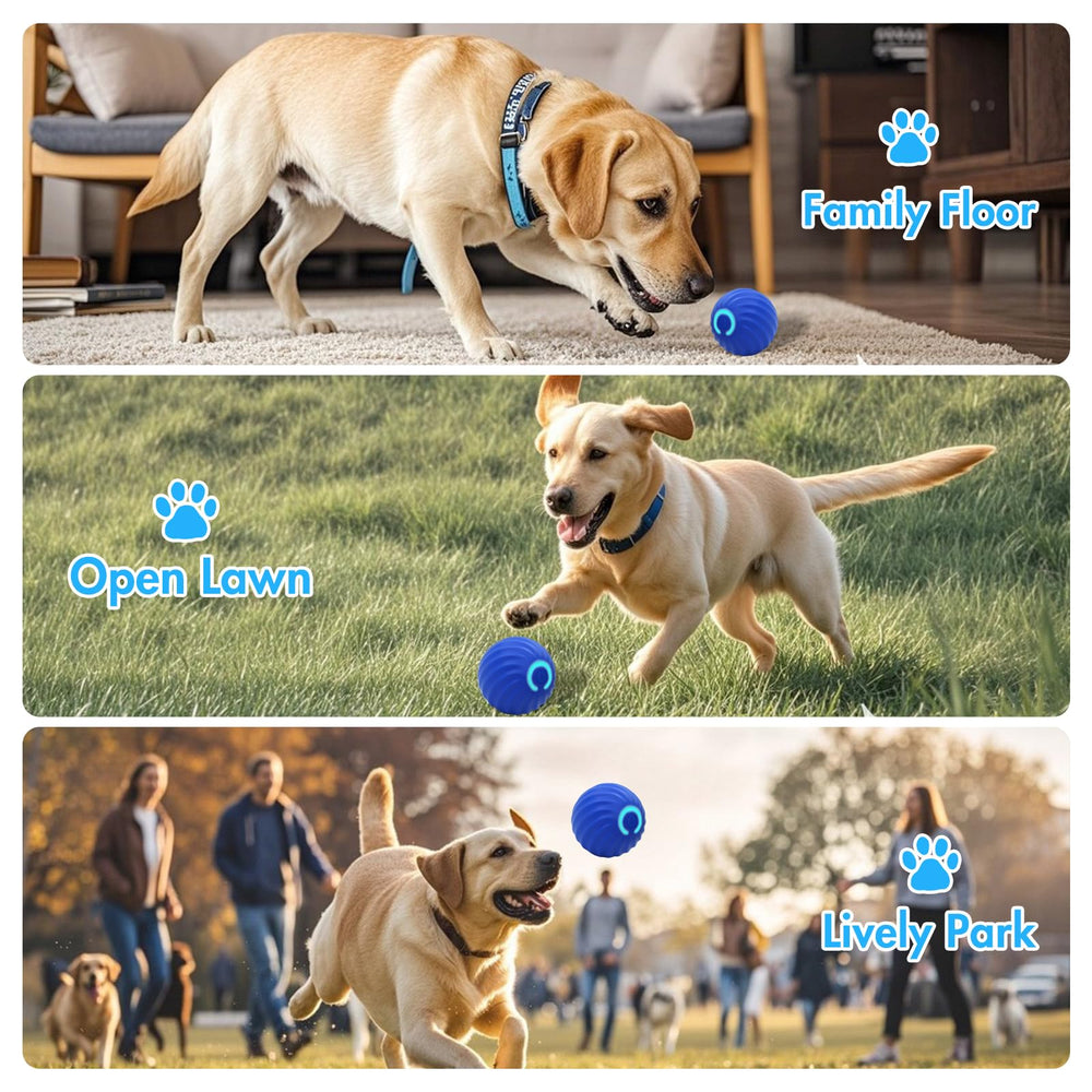 ZABARE rechargeable pet toy offers wireless, on-demand play sessions.