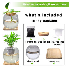 Zaborik bamboo stand side view highlights sturdy base for stable tabletop display and plant growth.