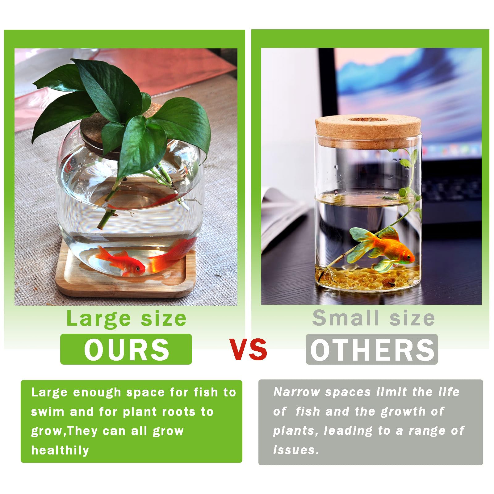 Zaborik hydroponic-plants view emphasizes thriving greenery with a low-maintenance setup.