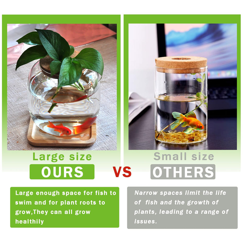 Zaborik hydroponic-plants view emphasizes thriving greenery with a low-maintenance setup.