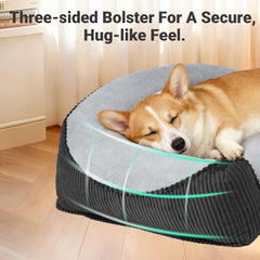 ZAKAPAWS cat couch durable construction maintains shape through daily lounging and washing.