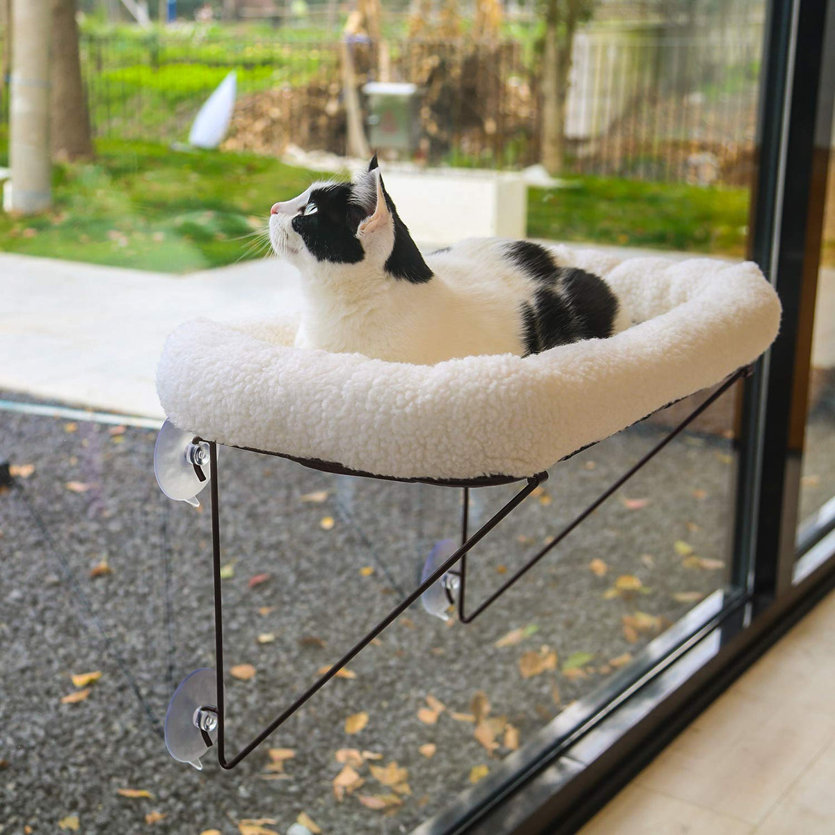 Zakkart cat window perch assembly view highlighting stable iron frame and setup.