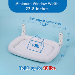 Zakkart sunbathing spot on window perch for relaxed daytime lounging.