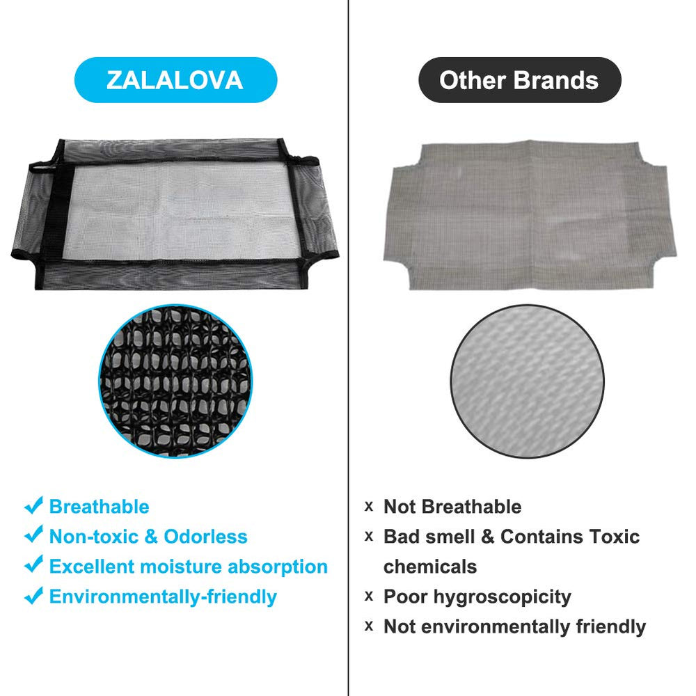 ZALALOVA two-cats enjoying scene demonstrates shared sunbathing and playtime.