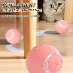 ZALBYUY two-mode cat ball for versatile indoor games.