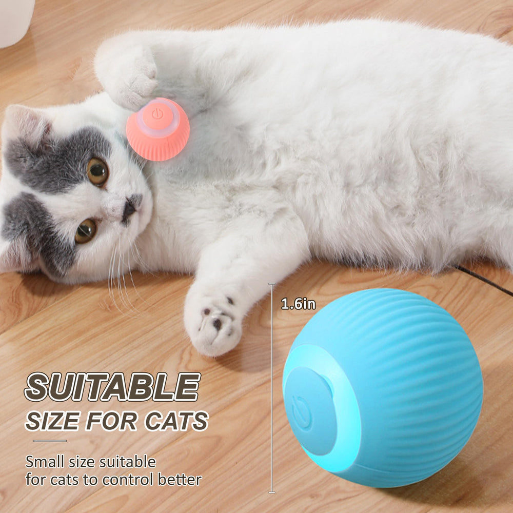 ZALBYUY wood-floor friendly kitten toy enhances active play
