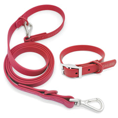 ZALER dog collar waterproof buckle close-up shows durable, adjustable fit for wet adventures