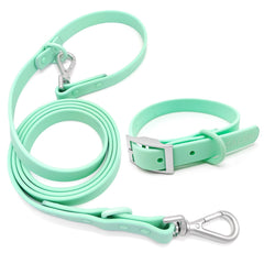 ZALER dog collar waterproof mint green ready for splashy outings.