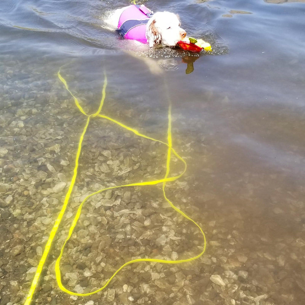 ZALER quick-drying odor-resistant leash cleans up after muddy adventures