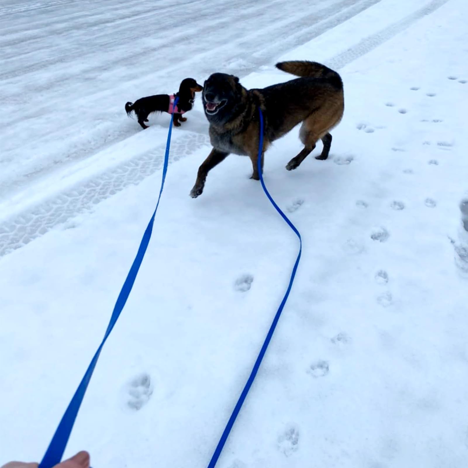 ZALER easy-clean dog leash wipes clean with a damp cloth