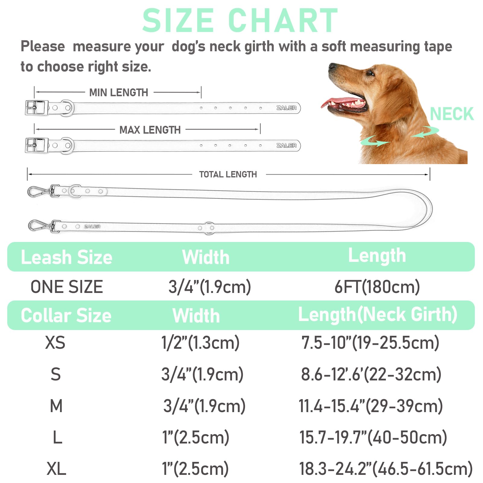 ZALER leash with two rotating buckles prevents tangling during play.