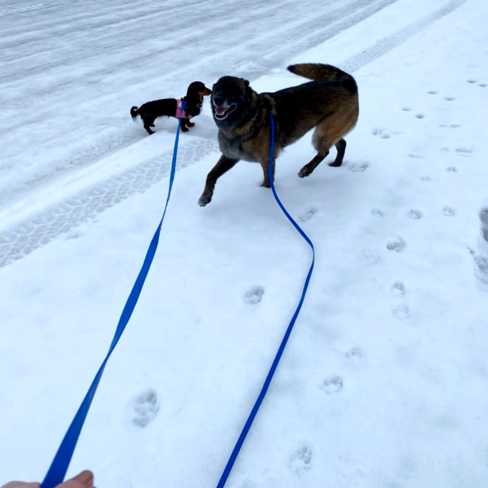 ZALER multiple length options ensure the right reach for dog training.