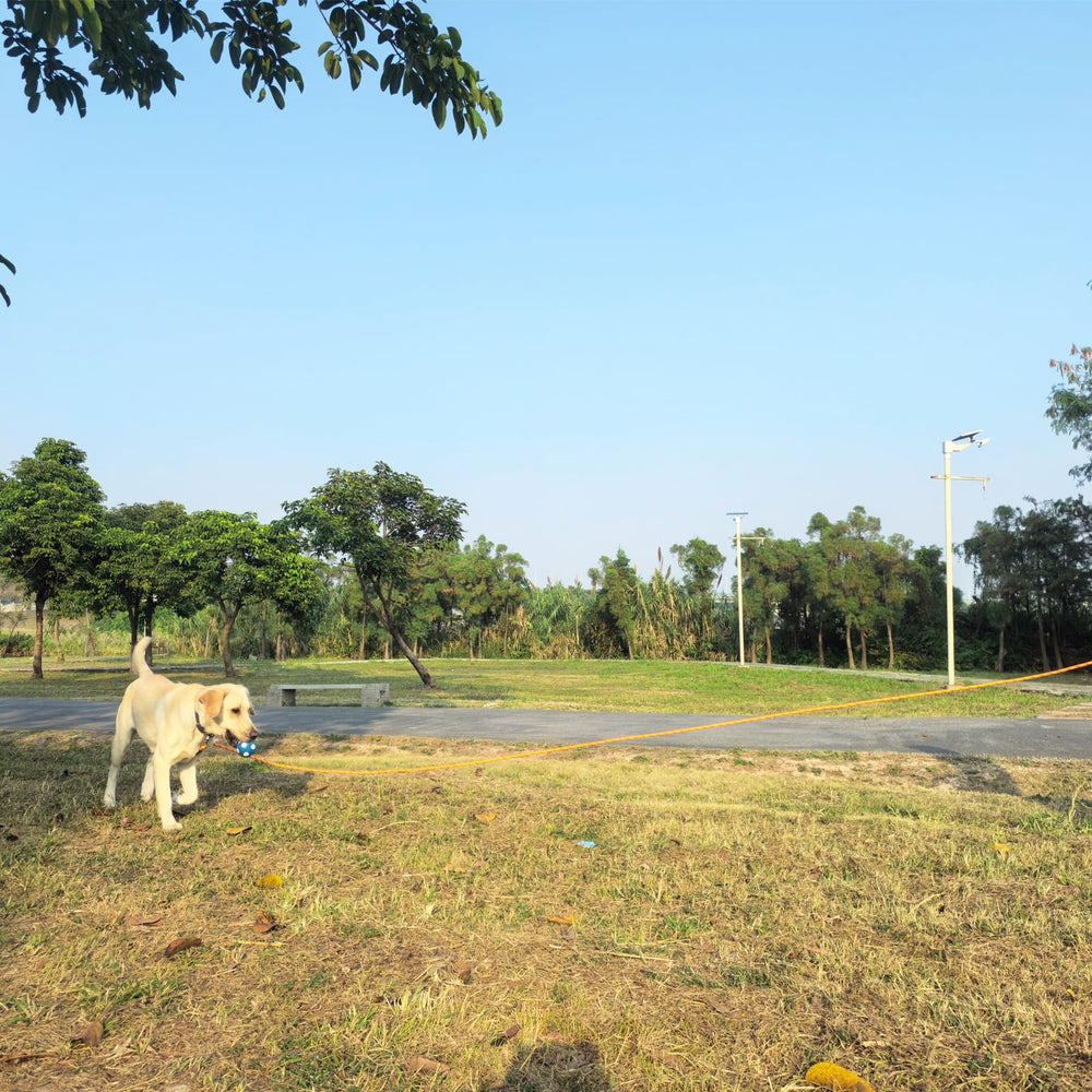 ZALER long dog leash 10ft easy grip for early leash training.