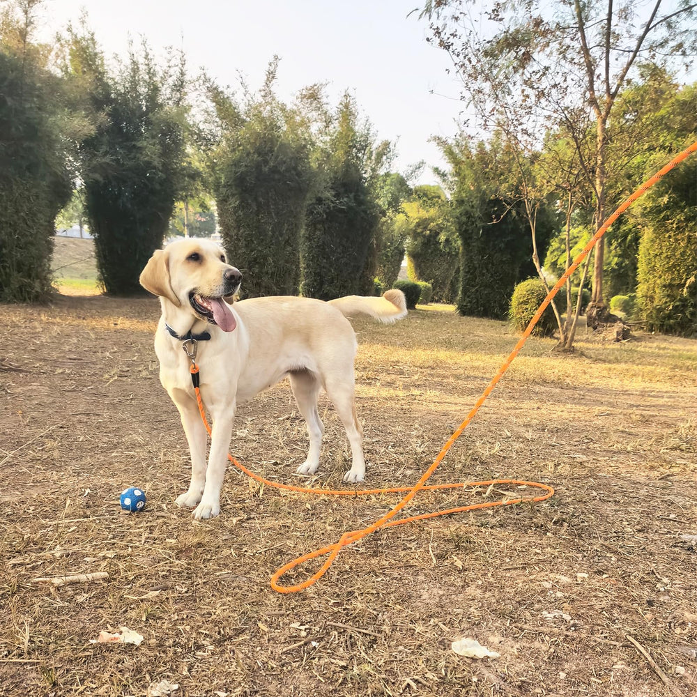 ZALER long dog leash 10ft short leash for close-control walks