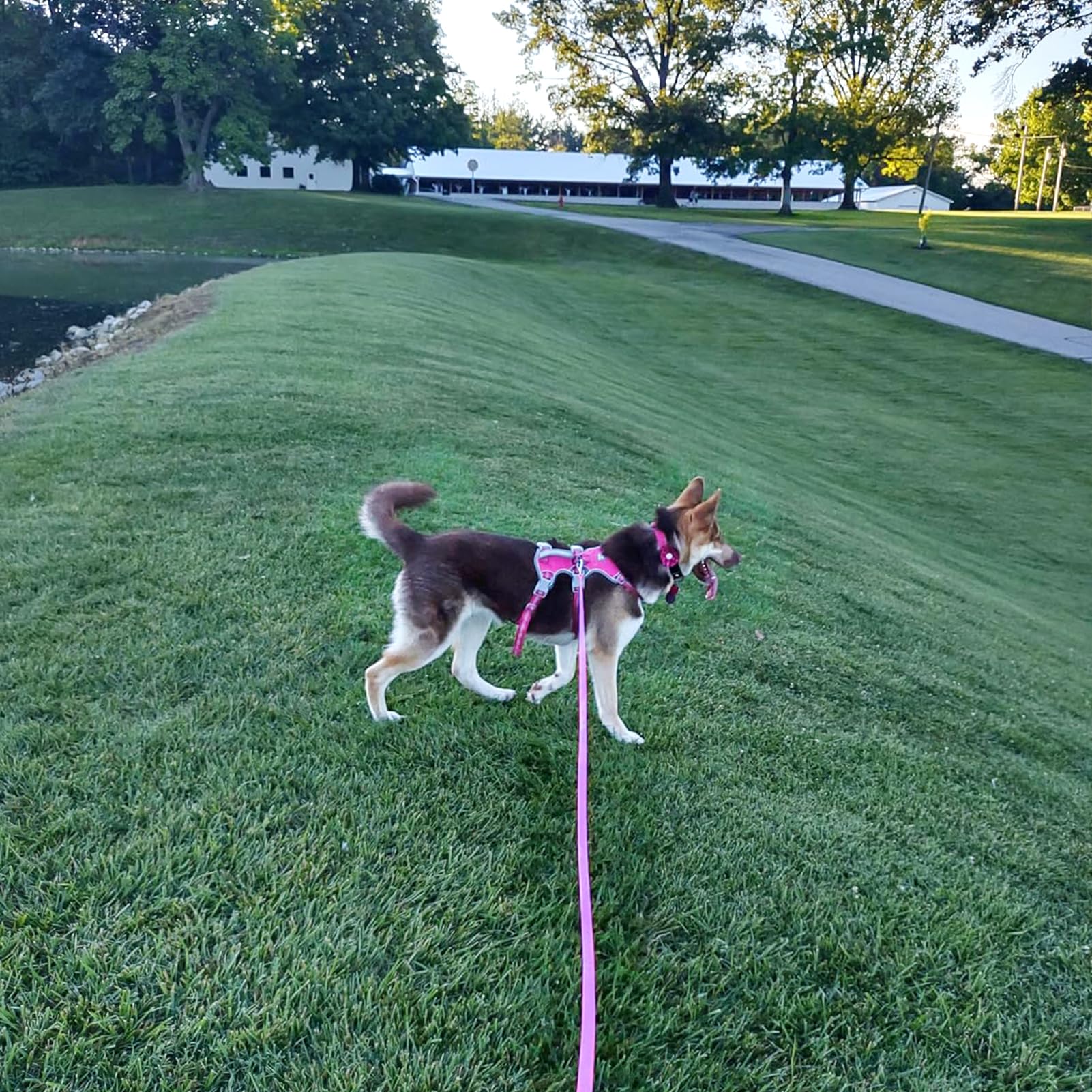 ZALER Long Dog Leash easy-clean closure close-up shows fast-drying maintenance.