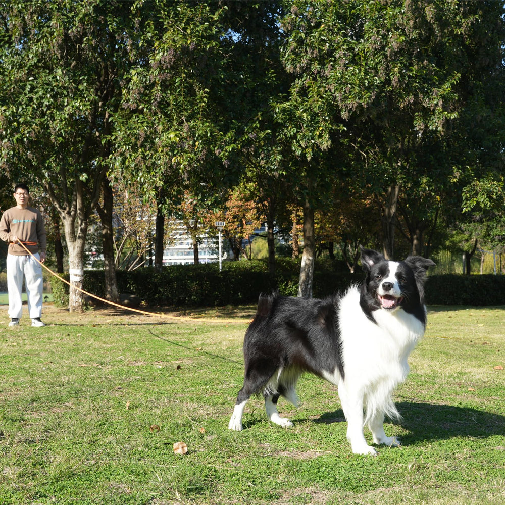 ZALER safety screw-lock carabiner improves secure attachment during outdoor walks.