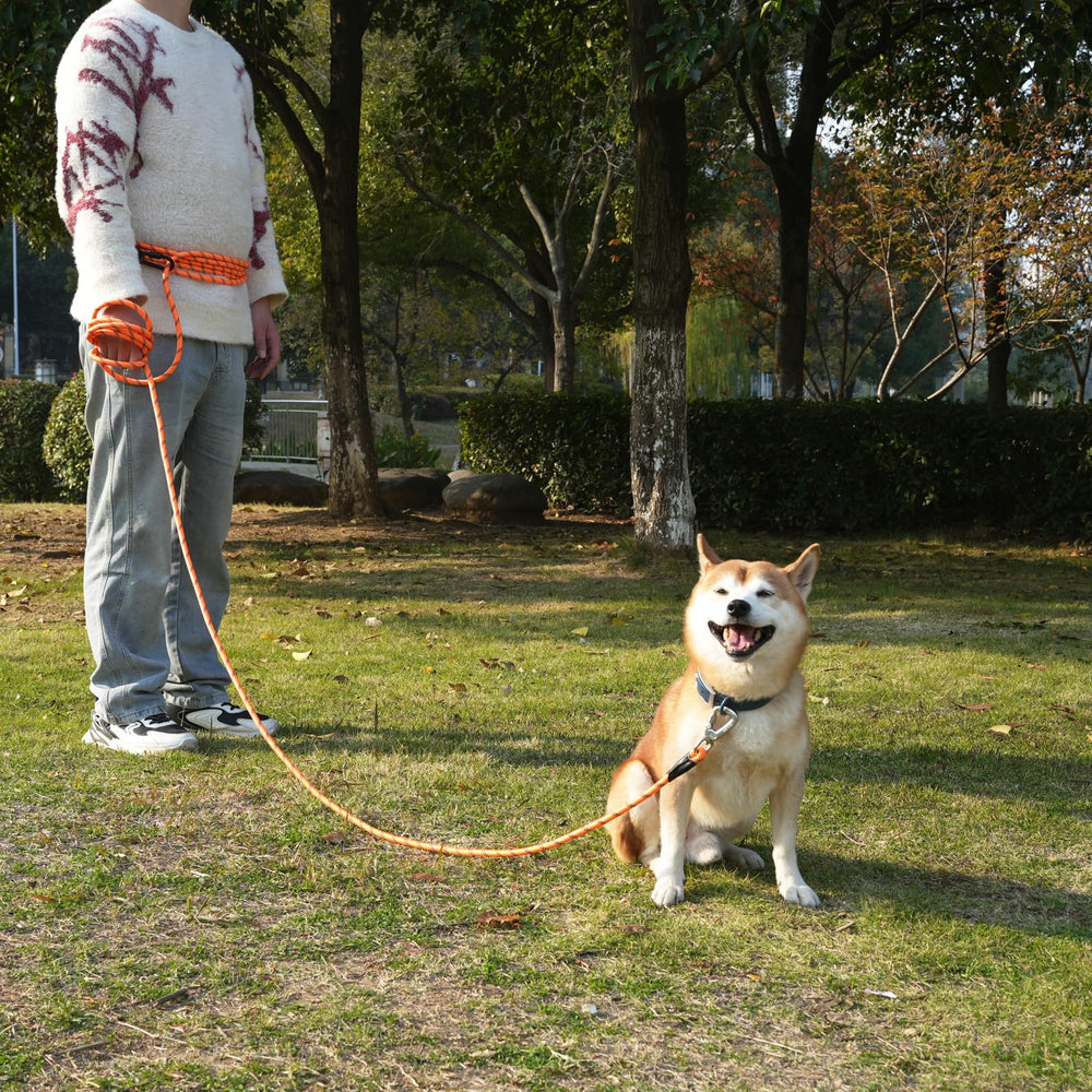 ZALER long dog leash screw-lock carabiner for secure attachment