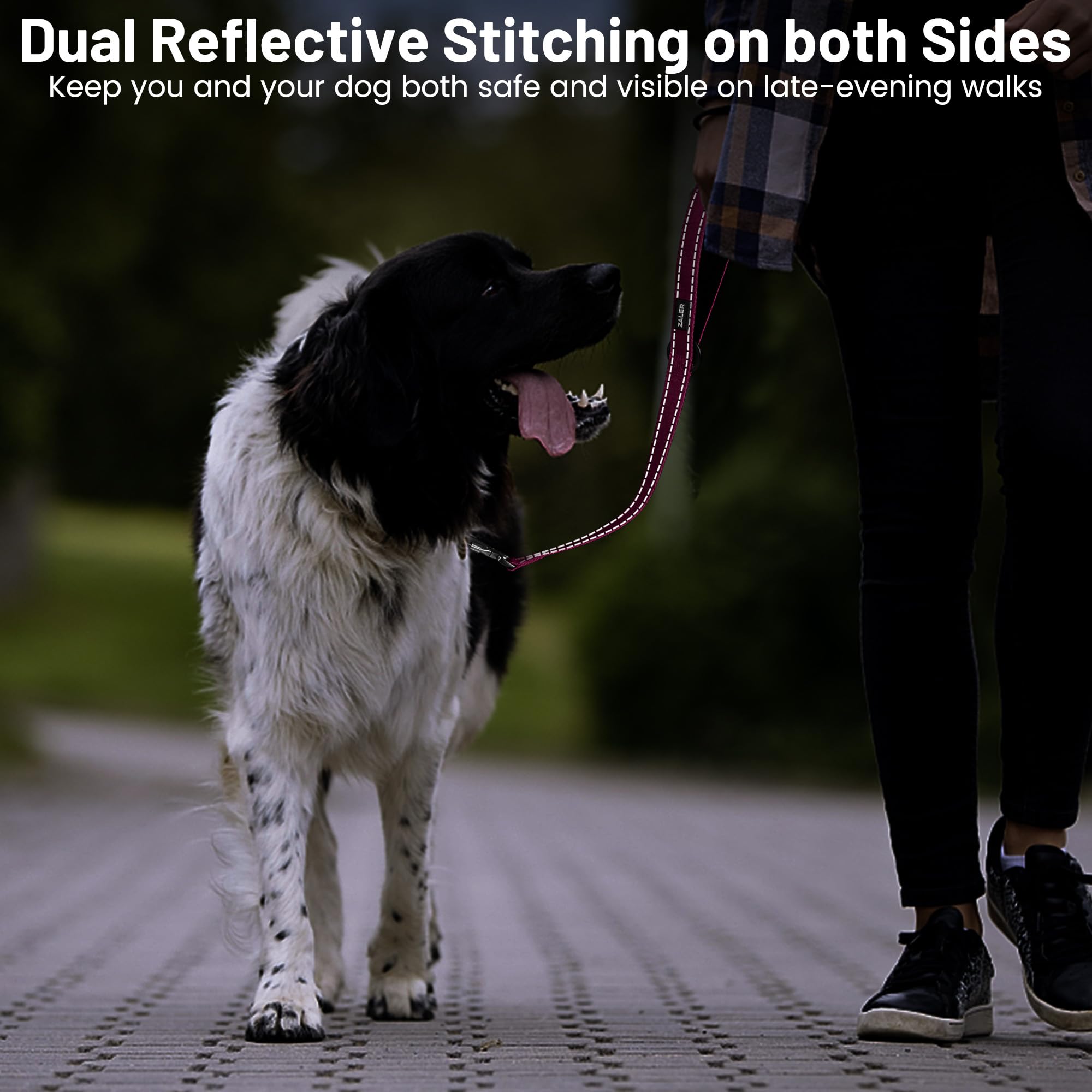 ZALER leash features luminous reflective threading for safer night-time walks.