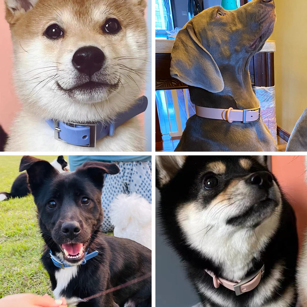 ZALER waterproof dog collar available in sizes and colors for versatile customization.