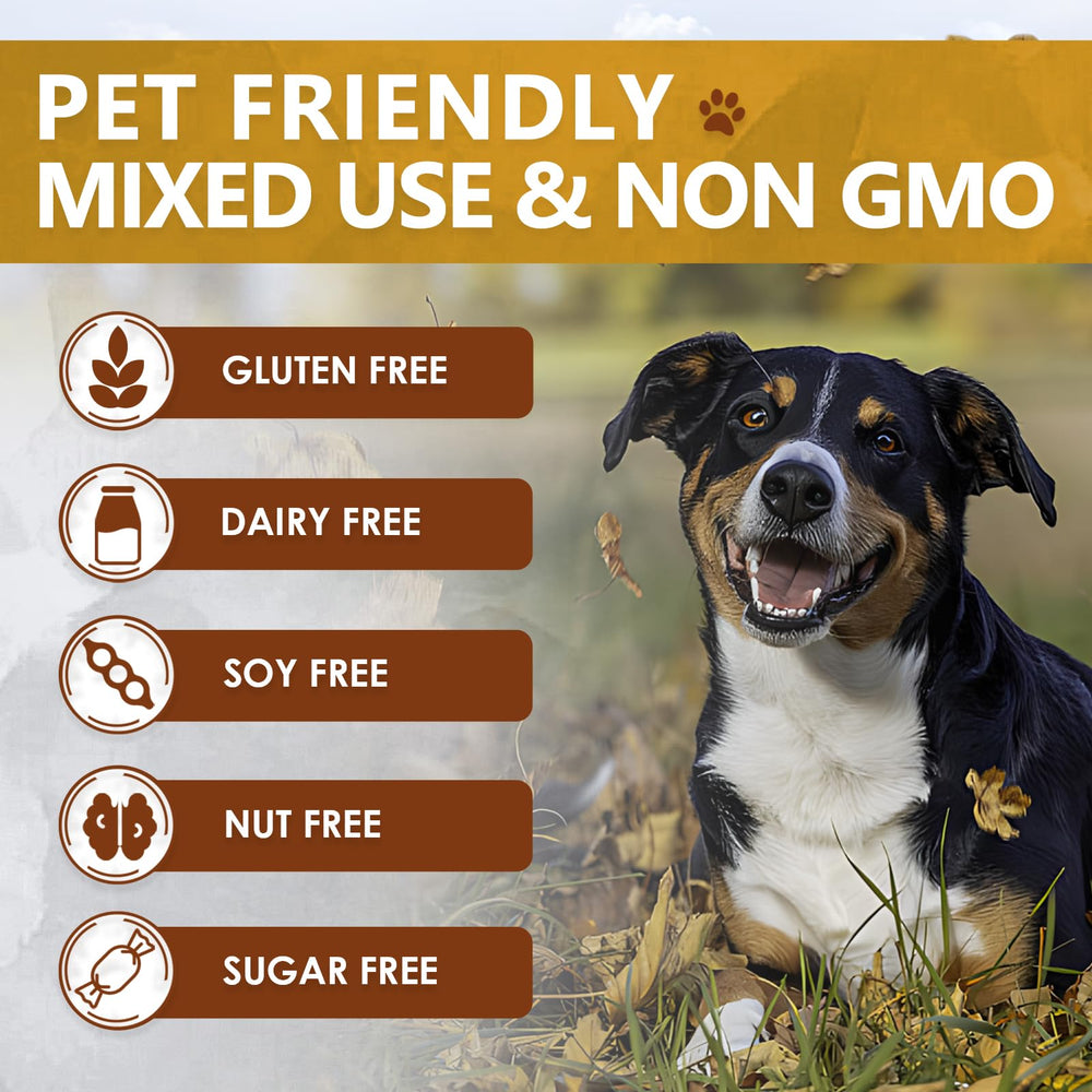 Cat meal enhanced with Zammex bone broth powder