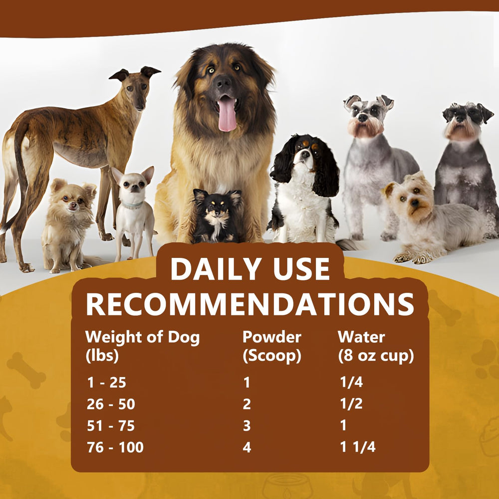 Close-up of Zammex bone broth powder texture with gluten-free ingredients