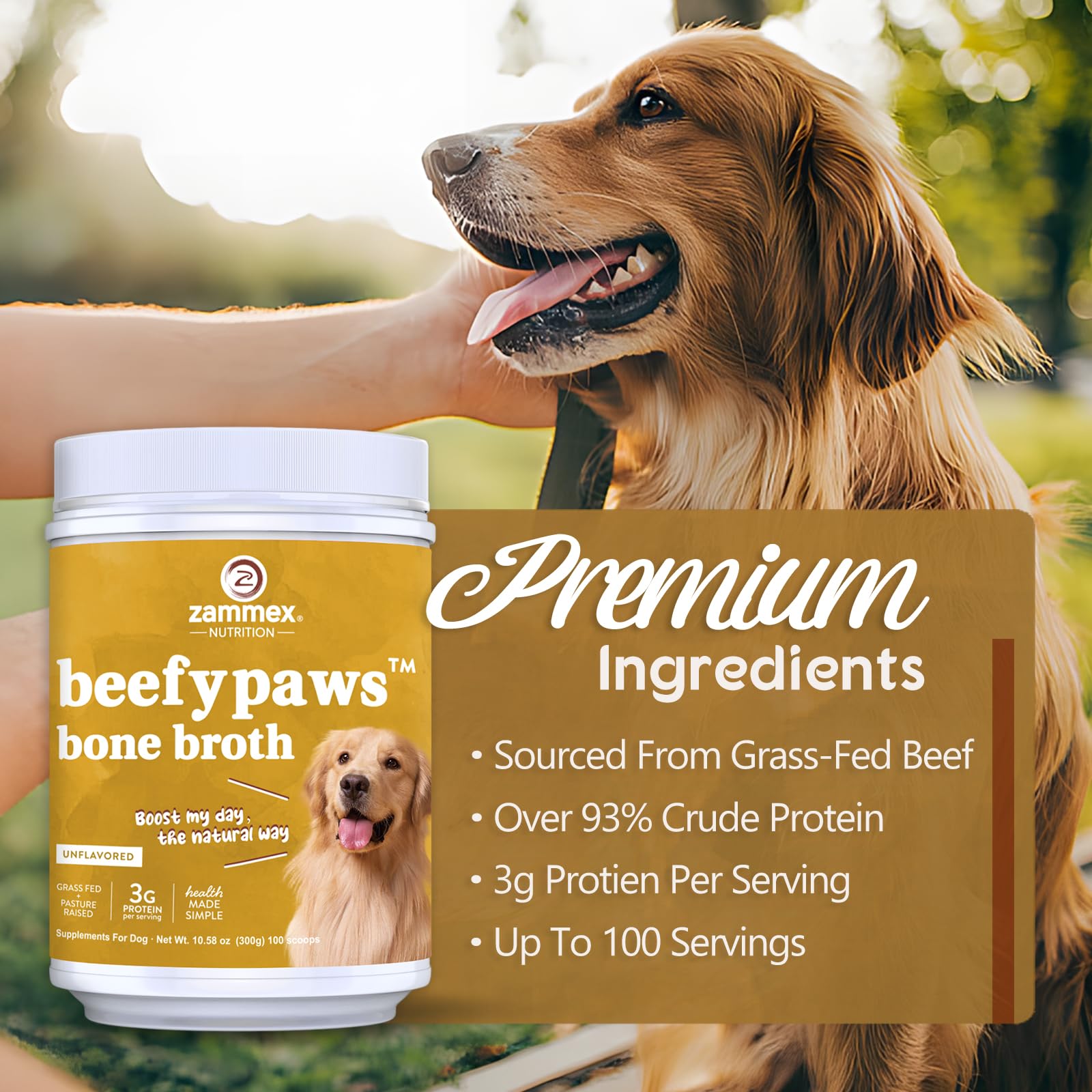 Dog enjoys a meal with Zammex bone broth powder topping